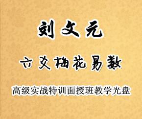 刘文元2008年六爻梅花易数高级实战特训班视频录像83集76g