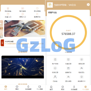 运营版证券投资系统/投资理财/分红返利/合同下载