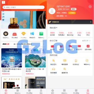 二开新玩法抢拍理财系统/积分商城系统/抢拍竞拍源码