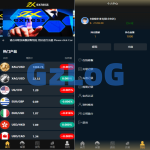 运营版微盘系统/微交易源码/外汇期货虚拟币微盘源码