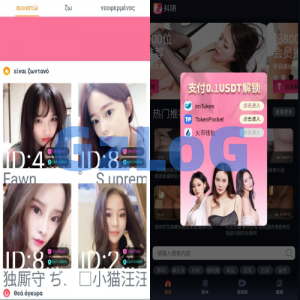最新修复版全新4链盗U系统/usdt授权秒U源码/usdt钱包盗U源码