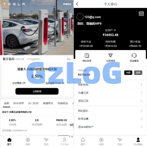 新版海外特斯拉投资系统/多语言投资理财/前端vue
