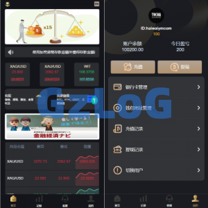 多语言海外微盘系统/外汇期货微交易/时间盘系统