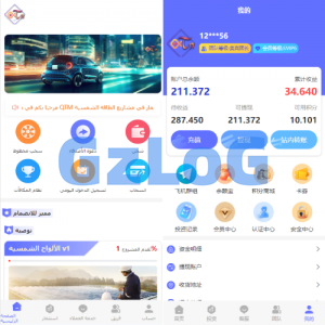 阿拉伯投资理财系统/海外投资众筹系统/前端vue