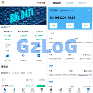 新版多语言交易所系统/虚拟币外汇交易/期权合约交易