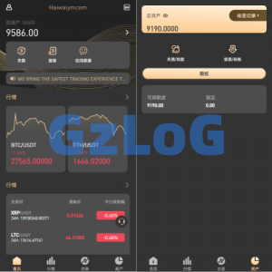 新版多语言海外微盘系统/微交易/虚拟币时间盘/伪交易所