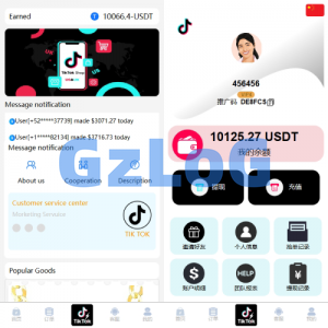 海外TIKTOK抢单刷单系统/多语言刷单/打针/重置订单