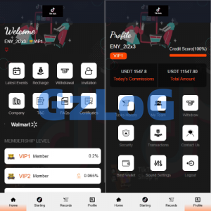 海外TIKTOK抢单刷单系统/连单卡单/前端VUE