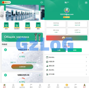 新UI新能源充电桩投资系统/海外投资理财/前端VUE