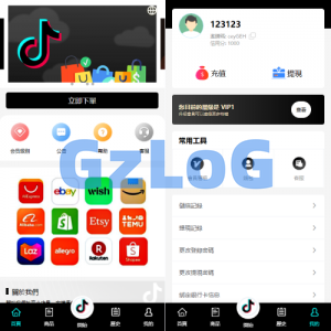 多语言tiktok抢单刷单系统/海外抢单系统/连单卡单