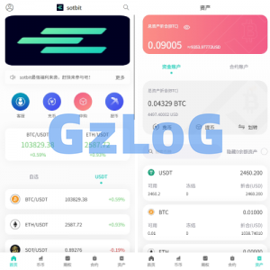 运营版海外交易所/期权交易/合约交易/多语言申购交易所