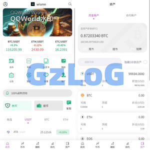 海外多语言交易所/合约/期权/秒合约/插针控制/申购