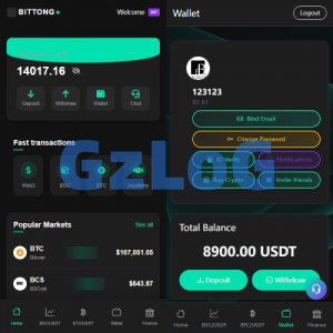 海外交易所系统/秒合约/杠杆交易/投资/K线控制