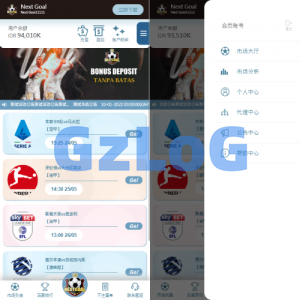 PC自适应反波胆系统/球盘源码/多级分销/充值返点