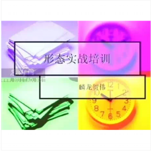 贺伟 形态实战培训 5集课程