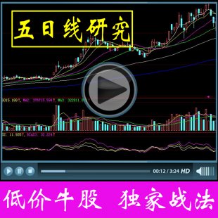 低价牛股研究王 独家5日线战法