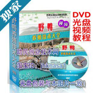 斑嘴野鸭养殖技术