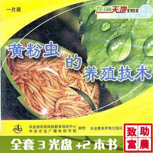 黄粉虫生产与利用