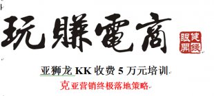 亚狮龙KK 5万培训 玩赚电商-六脉神剑6.5G视频