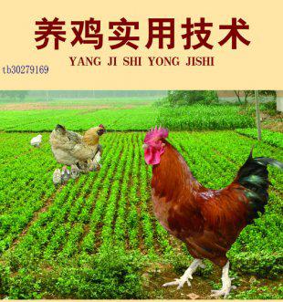 农业养殖技术 养鸡视频大全养鸡技术教程肉鸡蛋鸡养殖36VCD