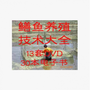 2014全套鳝鱼黄鳝养殖饲养技术大全/养黄鳝视频教程教材资料13VC