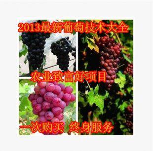 最新葡萄种植技术高效栽培技术病虫害防治技术 11vcd 种葡萄资料