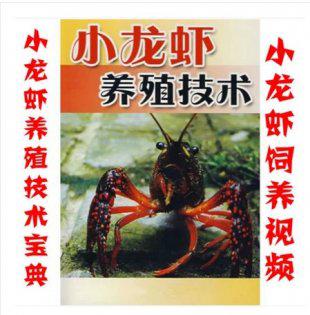 龙虾养殖 小龙虾养殖技术 小龙虾养殖视频教程 视频资料