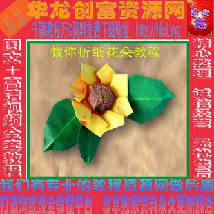 纸花折纸制作手工打包套餐 教你折纸花朵教程教材