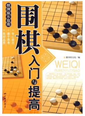围棋入门与提高 棋牌娱乐指南 儿童围棋入门 儿童围棋教程