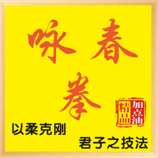 咏春拳视频教程合集 零基础从入门变大师 叶问咏春拳体系教学