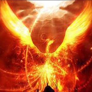 李民杰江健勇催眠资料 nlp心理洞察术 奸的好人15册全6套视频教程