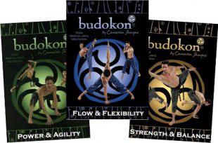 武道魂Budokon腰腹部减肥燃脂减脂锻炼全身塑形瑜伽