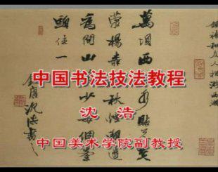 《中国书法技法教程》楷 行 草 隶 篆书讲解与示范视频教程光盘