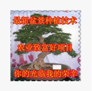 最新盆景种植栽培制作新技术大全视频教程教材资料