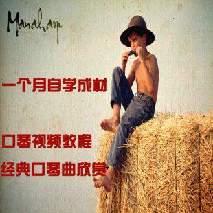 最新口琴视频教程 自学入门口琴教程全套 口琴初学零基础教程