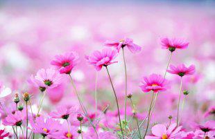 办公用品管理软件 管理系统 支持U盘存储 支持EXCEL批量导入导出