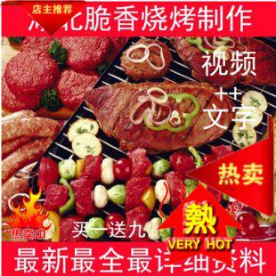 湖北脆香烧烤制作 配方+7DVD视频教程 风味小吃 烧烤小吃制作技术