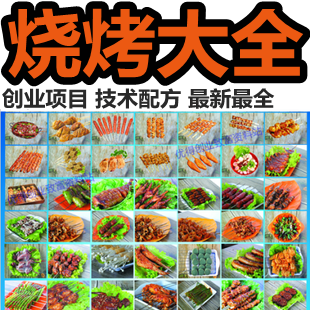 特色烧烤 腌制独家秘方 创业资料 小吃配方技术大全 烤牛羊猪鱼肉