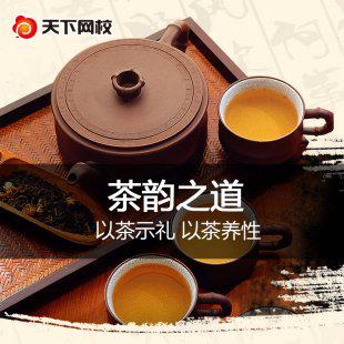 大师王伟荣茶道文化知识讲座教程视频