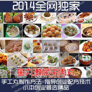 30多种 鱼丸濑尿牛肉丸 手工丸制作方法 指导创业配方技术