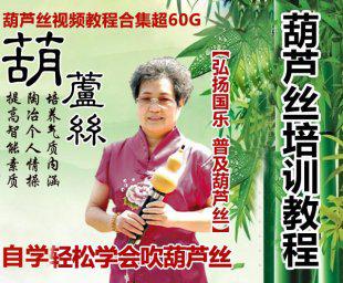 葫芦丝巴乌乐器电子视频教程/教材 初学自学考级示范资料大全