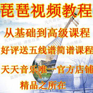 最新琵琶视频教程 琵琶基本技法视频教学 琵琶入门实用教程