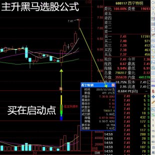 股票视频教程 初级班-股民炒股必备技术