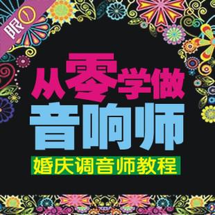 2013学技术教程 从零学做音响师 调音师 婚礼 商演庆典 开业 会议