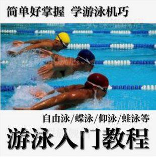 跟我学游泳/自由泳/蝶泳/仰泳/蛙泳 游泳视频教程