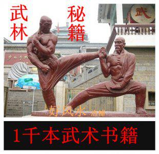 武术/气功/武学资料大全
