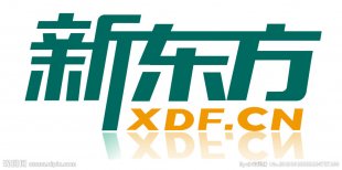 新东方4+1英语口语系列视频教程