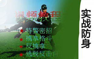 特警密招擒拿格斗反擒拿逃脱反击自卫防身术视频教程大全