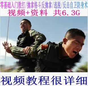 实战防身术视频教程_18集_avi_1.3G