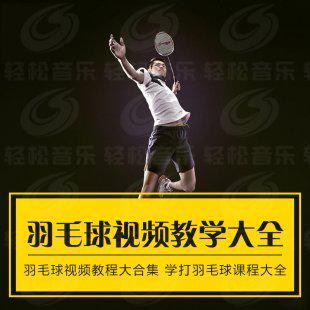 【陈伟华】羽毛球视频教程视频 RMVB格式 55讲
